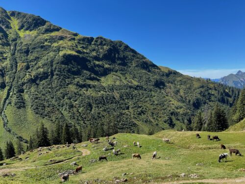 Bike-Team-Urlaub in Lech am Arlberg