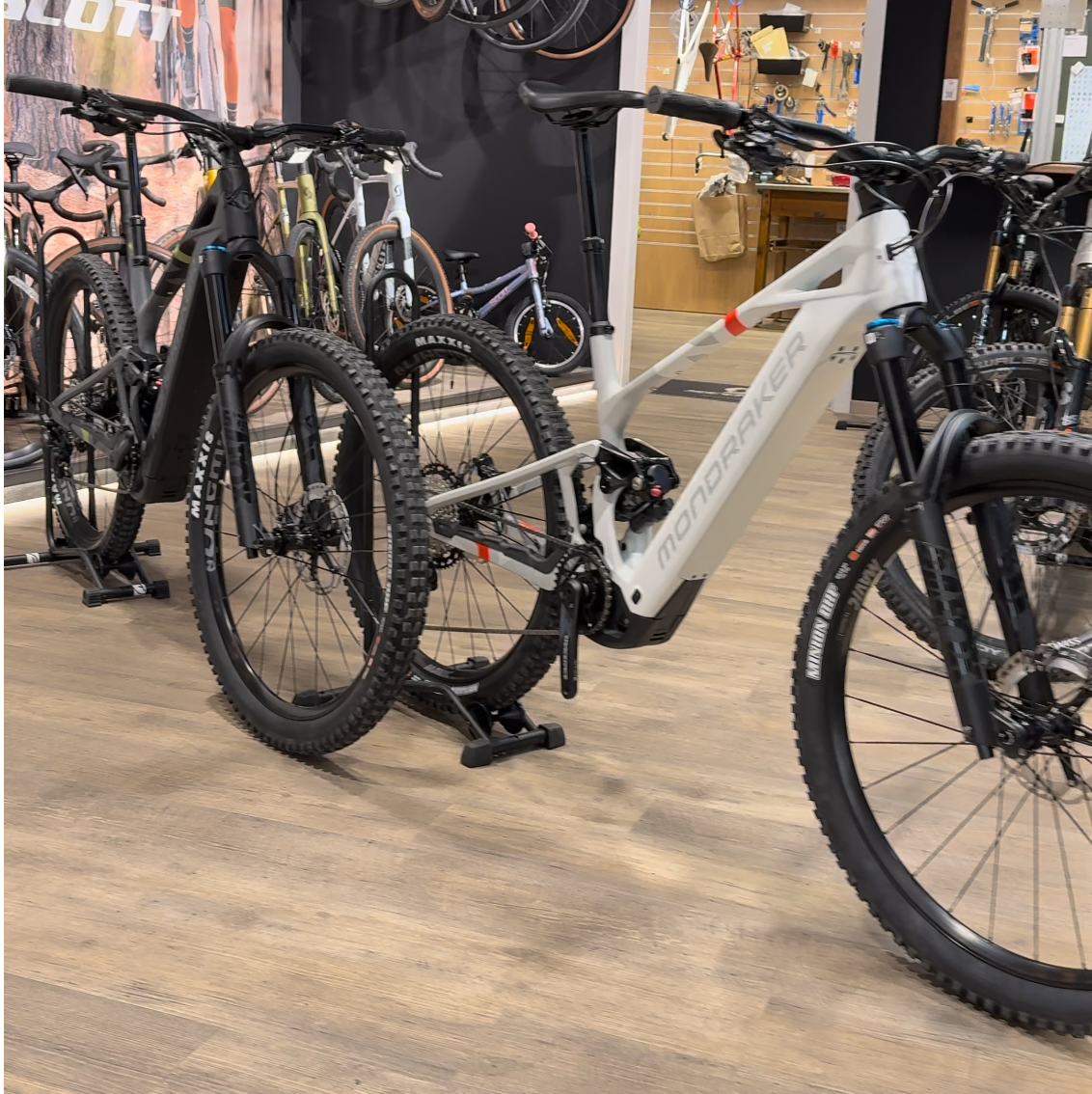 Die neuen Mondraker Crafty Carbon R Modelle